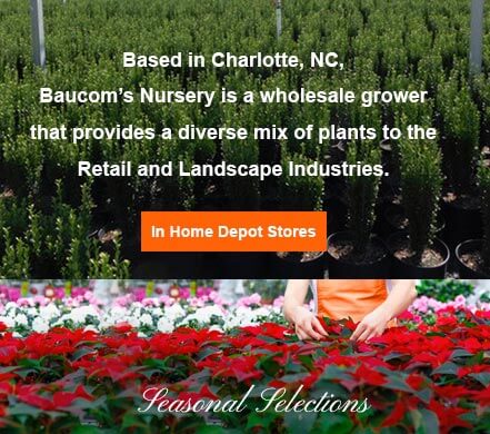 Baucom S Nursery Company Located In Charlotte Nc Baucom S Nursery In Home Depot