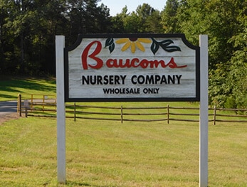 Baucom's Nursery sign
