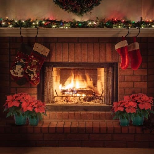 Poinsettia, Red (6.5 Inch and 8 Inch) - Image 4