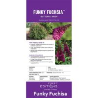 Buddleia, FIRST EDITIONS 'Funky Fuchsia' (2 Gallon) - Image 8