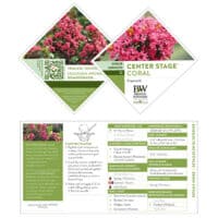 Crape Myrtle, Proven Winners 'Center Stage Coral' (2 Gallon) - Image 5