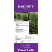 Arborvitae, FIRST EDITIONS 'Planet Earth' (2 Gallon) - Image 5
