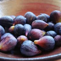 Fig, Black Mission (2.5 Quart and 2.25 Gallon) - Image 3