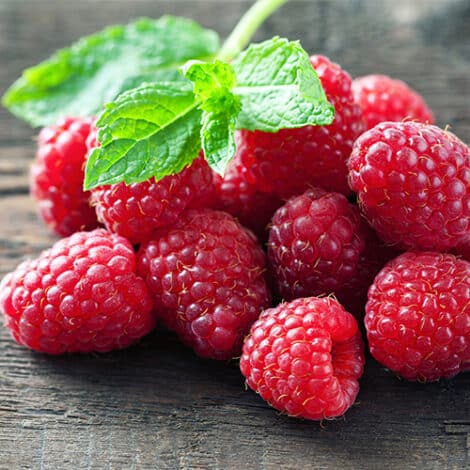 Raspberry, Nantahala (2.5 Quart and 2.25 Gallon) - Image 3